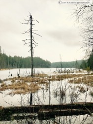 Parque nacional de Isojarvi. Kuorejärvi